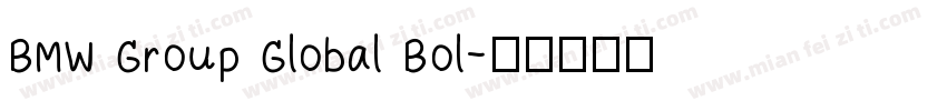 BMW Group Global Bol字体转换